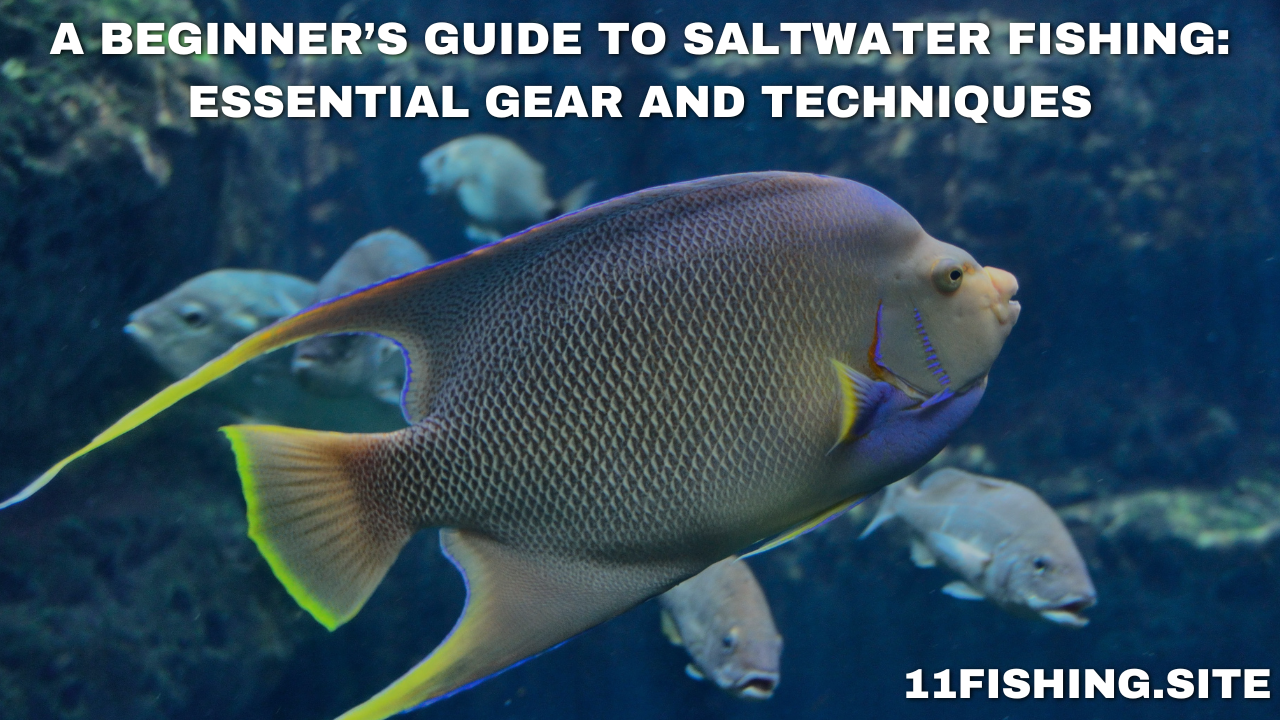 A Beginner’s Guide to Saltwater Fishing: Essential Gear and Techniques