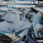 Top Fishing Tournaments in 2025: How to Participate